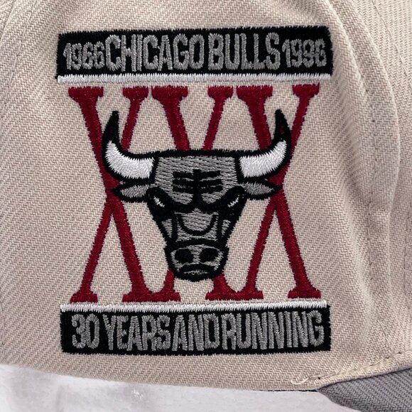 Mitchell & Ness Chicago Bulls 30th Anniversary Cap Hat Adjustable Snapback 1996 - Picture 5 of 16